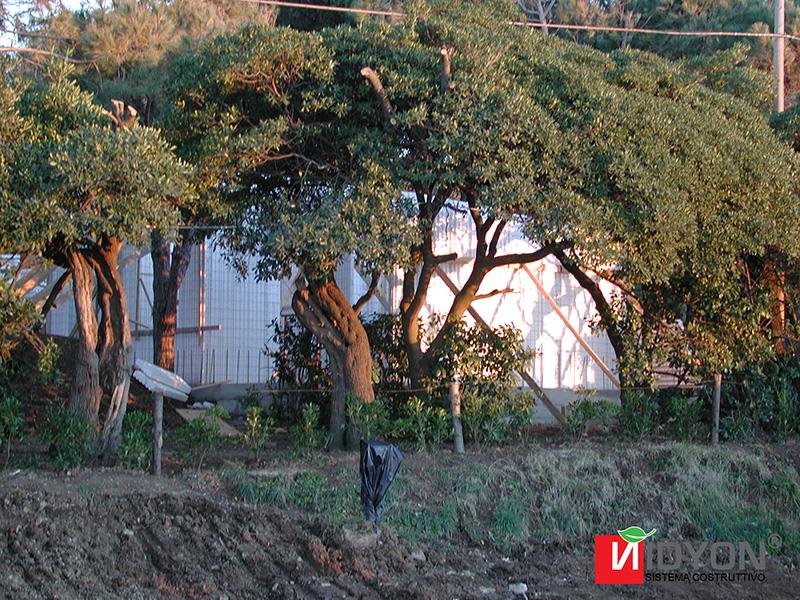 Ricezione turistica Livorno (LI)
